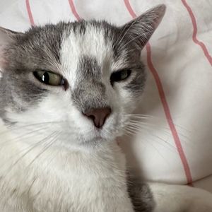 Meet your Posher, Hailey